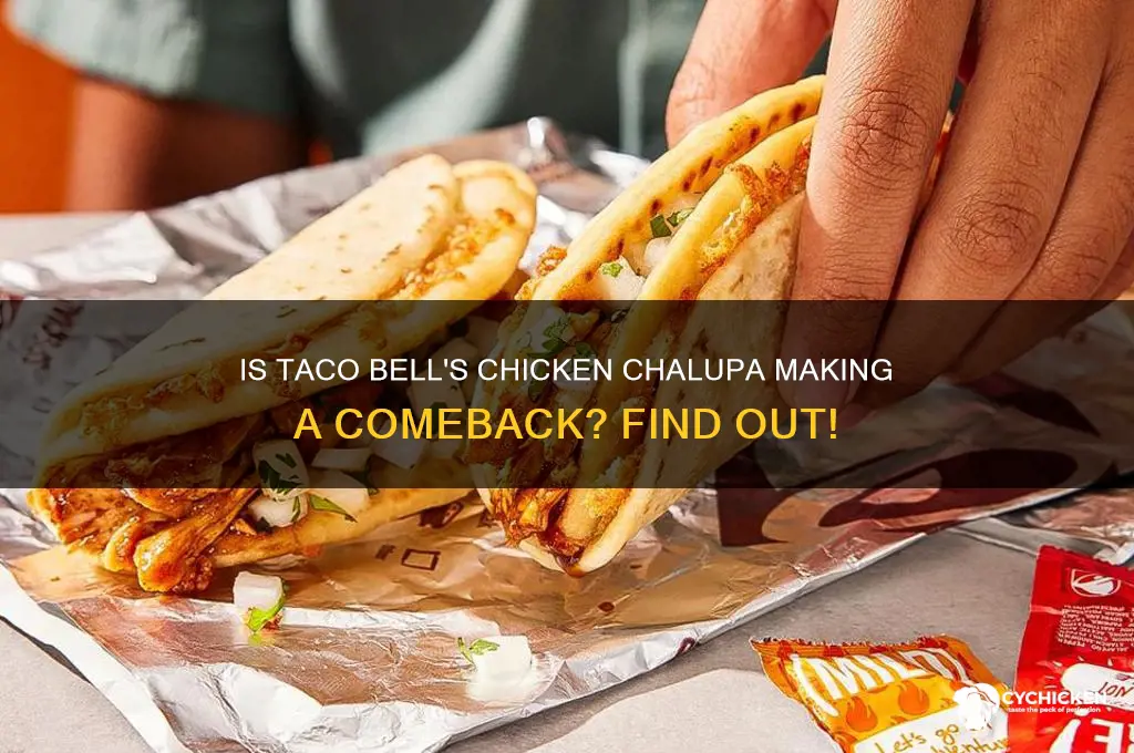 is the chicken chalupa back at taco bell