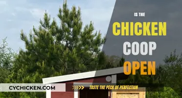 Exploring the Great Outdoors: Is the Chicken Coop Open?