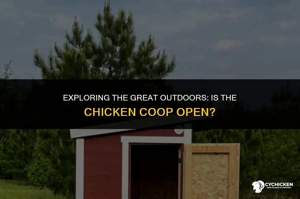 is the chicken coop open