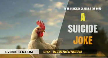 Why Did the Chicken Cross the Road?
