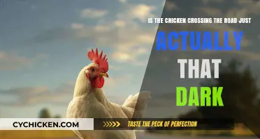 Why the Chicken Crossed: A Dark Mystery