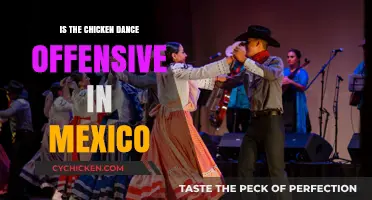 Is the Chicken Dance Culturally Insensitive in Mexican Traditions?