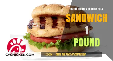 Chick-fil-A Sandwich Chicken Weight: Is It Really 1 Pound?