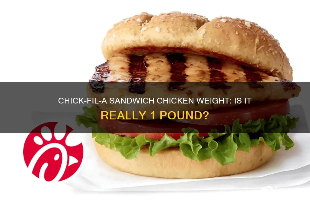 is the chicken in chick fil a sandwich 1 pound