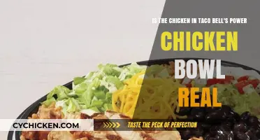 Taco Bell's Power Chicken Bowl: Real or Fake Meat?