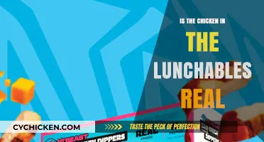 Is Lunchables Chicken Real? Uncovering the Truth Behind the Meat
