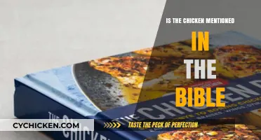 Is Chicken Mentioned in the Bible? Exploring Biblical References to Poultry