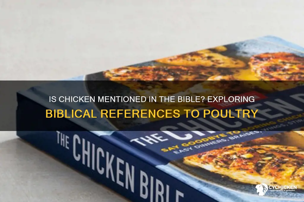 is the chicken mentioned in the bible