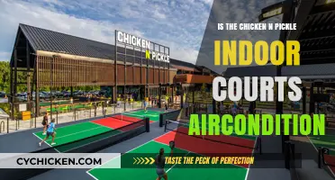Chicken N Pickle Indoor Courts: Are They Air-Conditioned?