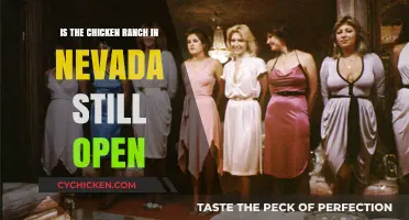 Is Nevada's Chicken Ranch Still Open? The Truth Revealed