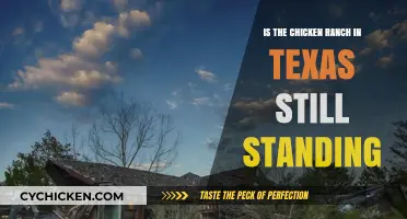 Is the Chicken Ranch in Texas Still Standing Today?