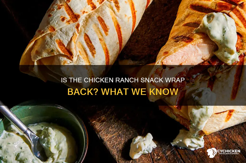 is the chicken ranch snack wrap back