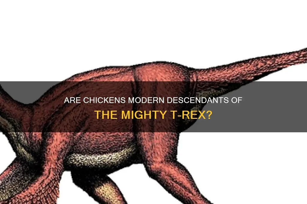 is the chicken related to t rex