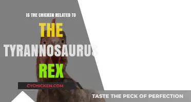 Clucking Cousins? The Surprising Link Between Chickens and T-Rex