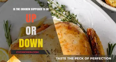 Chicken Orientation: Up or Down?