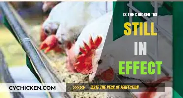 Is the Chicken Tax Still Relevant Today? A Comprehensive Update