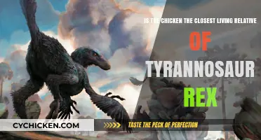 Chicken or Dinosaur: Unraveling T-Rex's Closest Living Relative
