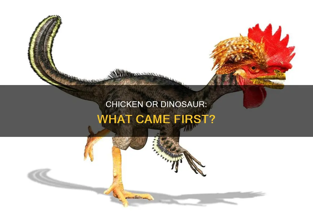 is the chicken the closest thing to a dinosaur