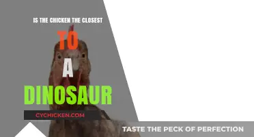 Are Chickens Modern Dinosaurs? Unraveling the Ancient Genetic Link