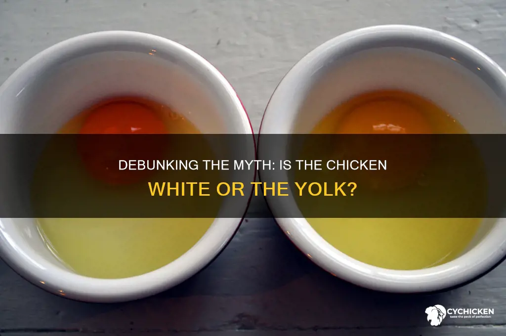 is the chicken the white or the yolk