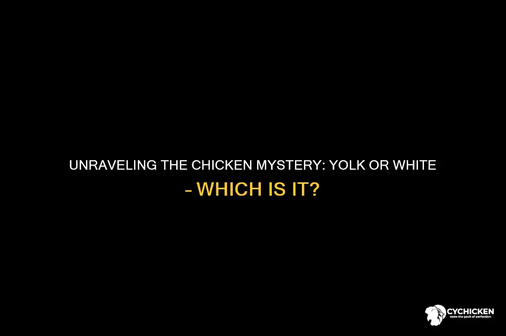 is the chicken the yolk or white
