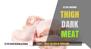 Is Chicken Thigh Dark Meat? Unraveling Poultry Facts and Myths