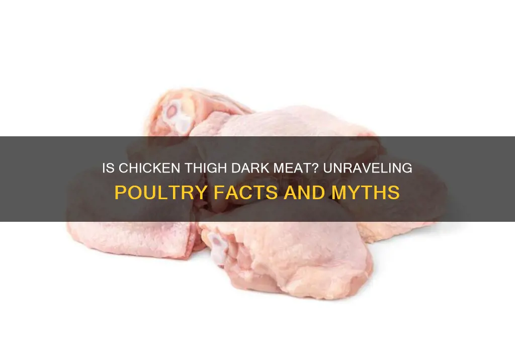 is the chicken thigh dark meat
