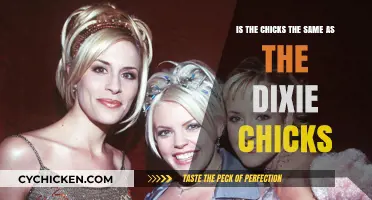 The Chicks: A Name Evolution for the Dixie Chicks