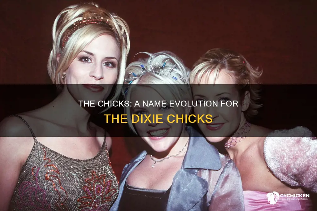 is the chicks the same as the dixie chicks