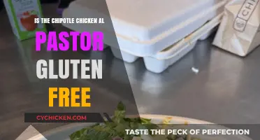 Chipotle Chicken Al Pastor: Gluten-Free or Not? Find Out Here