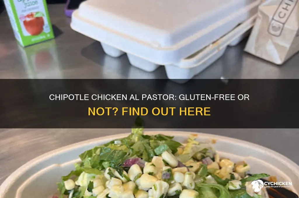 is the chipotle chicken al pastor gluten free