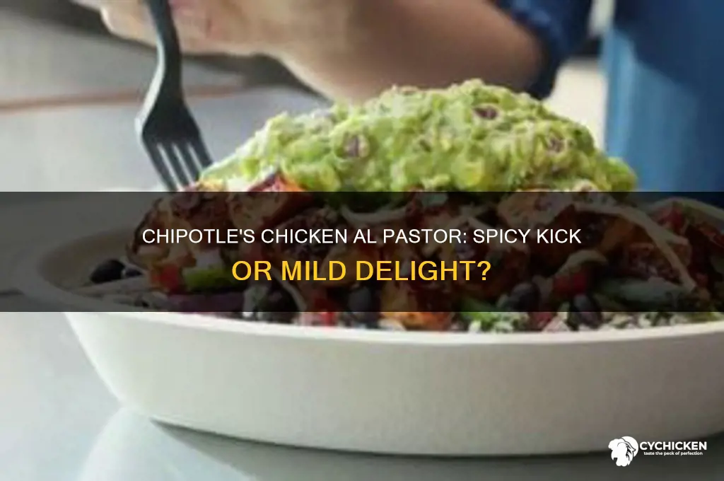 is the chipotle chicken al pastor spicy