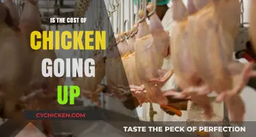 Rising Chicken Prices: What’s Driving the Cost Increase?