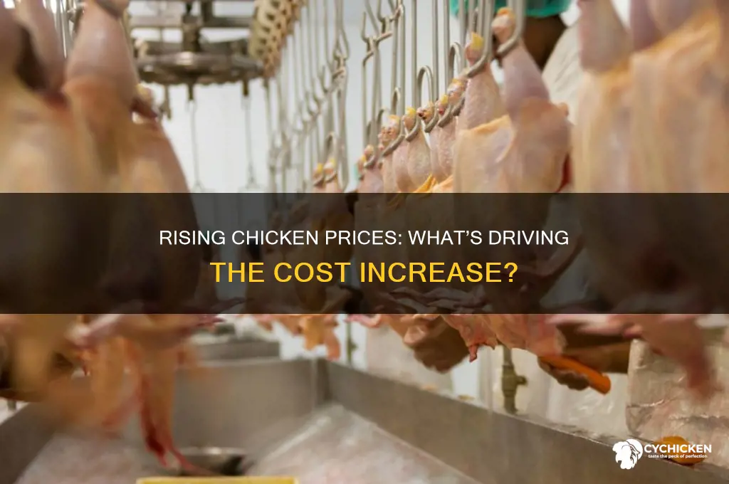is the cost of chicken going up