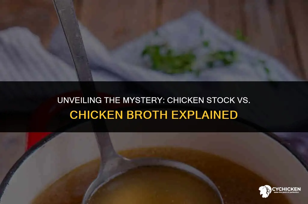 is the difference between chicken stock and chicken broth