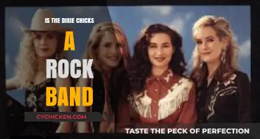 Are the Dixie Chicks a Rock Band? Exploring Their Genre