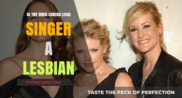 Is Dixie Chicks' Lead Singer Natalie Maines a Lesbian?