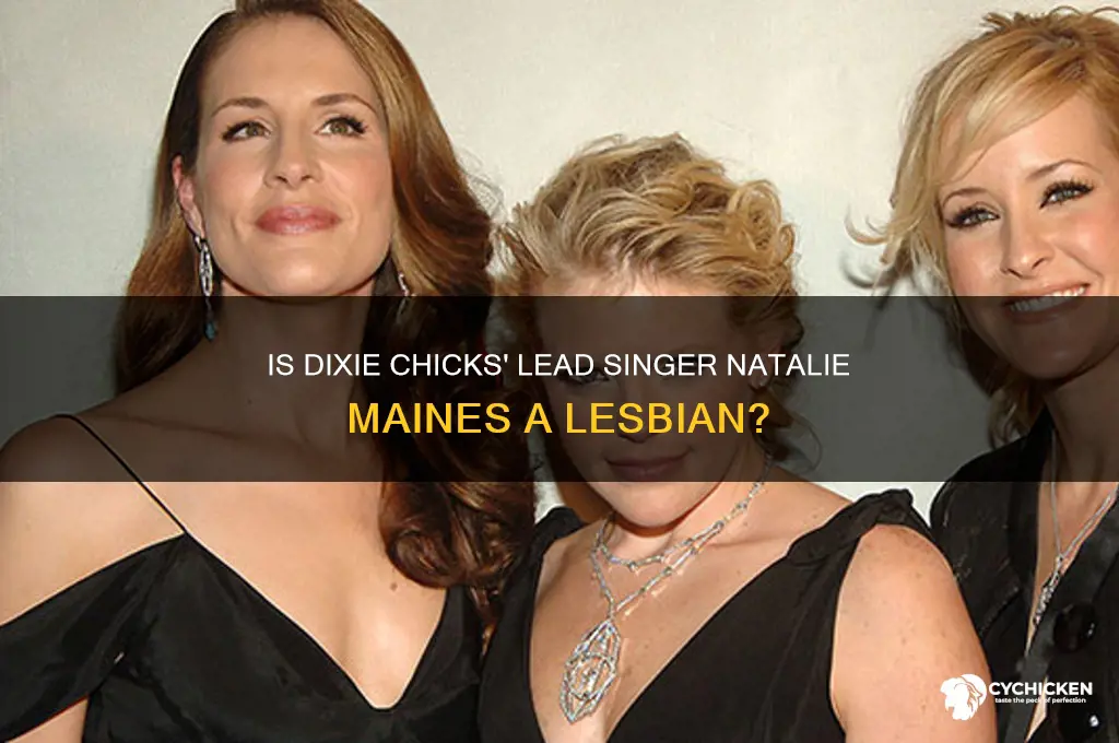 is the dixie chicks lead singer a lesbian
