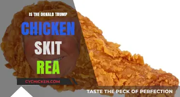Is the Donald Trump Chicken Skit Real or Satire?
