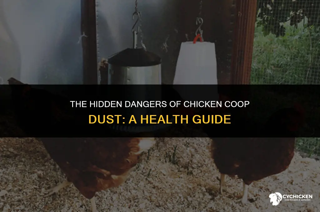 is the dust in a chicken coop harmful