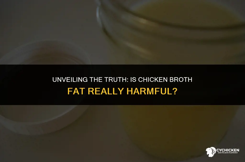 is the fat from chicken broth bad