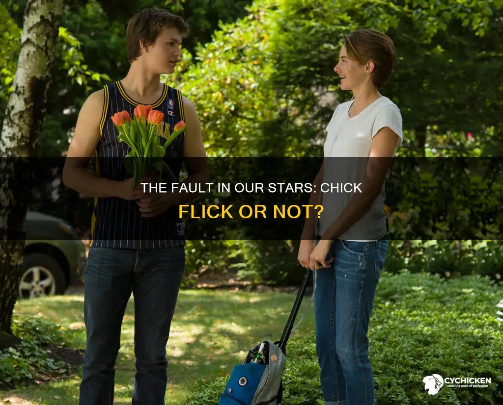 is the fault in our stars a chick flick
