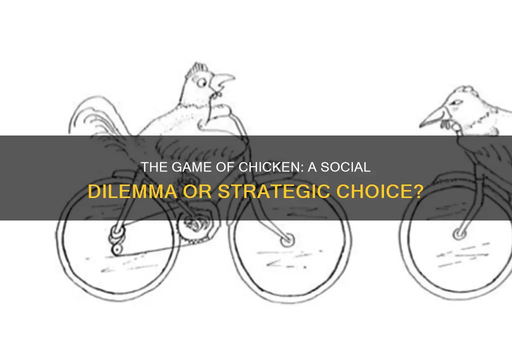 is the game of chicken a social dilemma