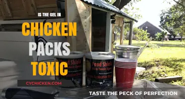 Is Chicken Gel Toxic? Uncovering the Truth About Packaging Gel