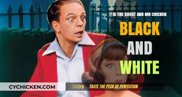 Ghost and Mr. Chicken: A Black and White Mystery