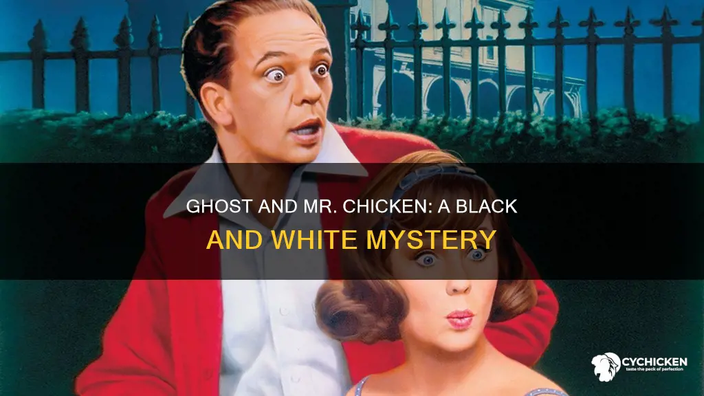 is the ghost and mr chicken black and white