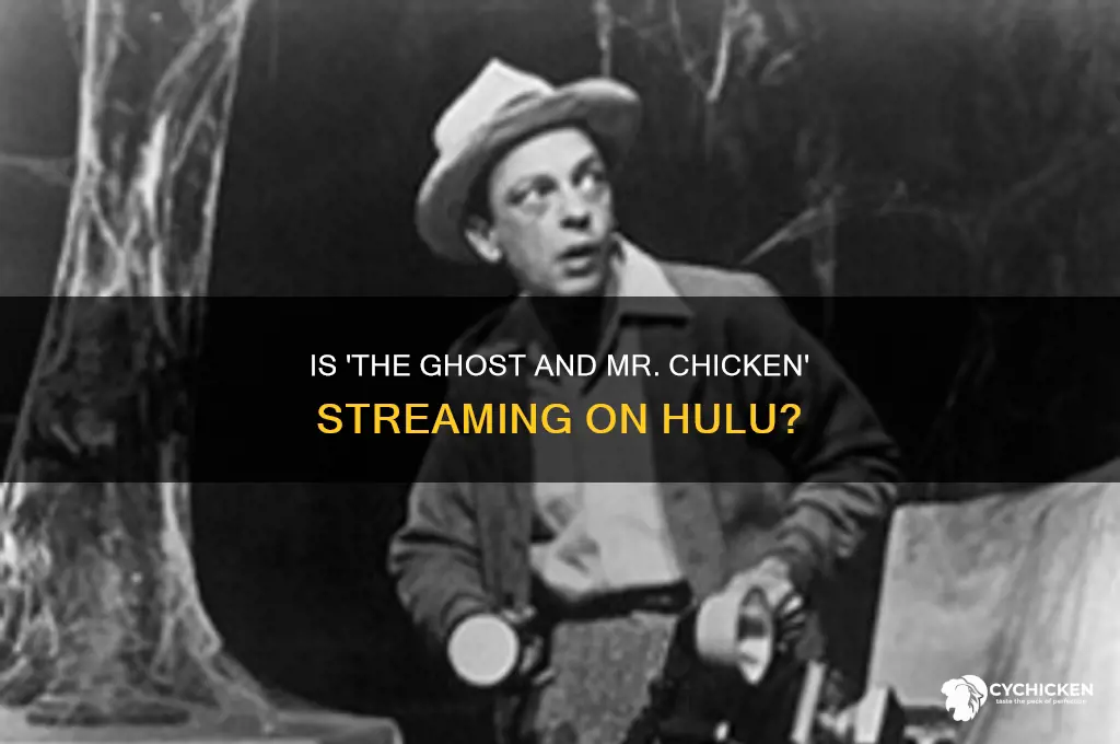 is the ghost and mr chicken on hulu