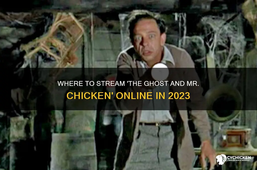 is the ghost and mr chicken streaming anywhere