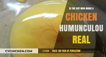 The Man Who Made a Chicken: Truth or Fiction?