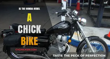 Is the Honda Rebel a Chick Bike? Debunking Motorcycle Stereotypes